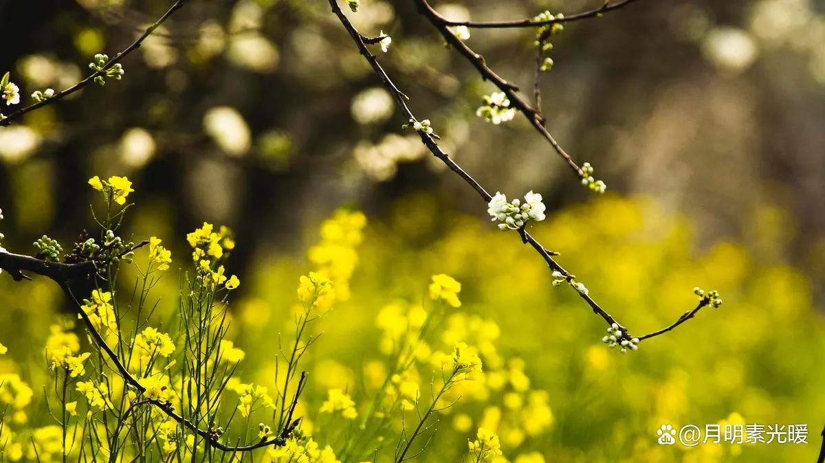 提前还贷的最佳时间,提前还贷要什么资料