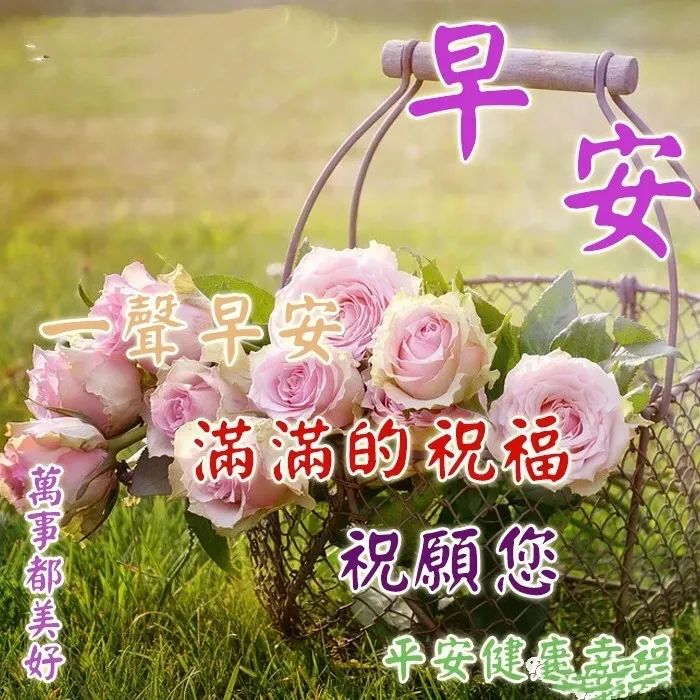 正能量早安语录经典句子图片,早安心灵鸡汤简短好句子一年级