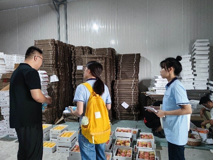 长大学子三下乡：深入陕西铜川，助力乡村振兴