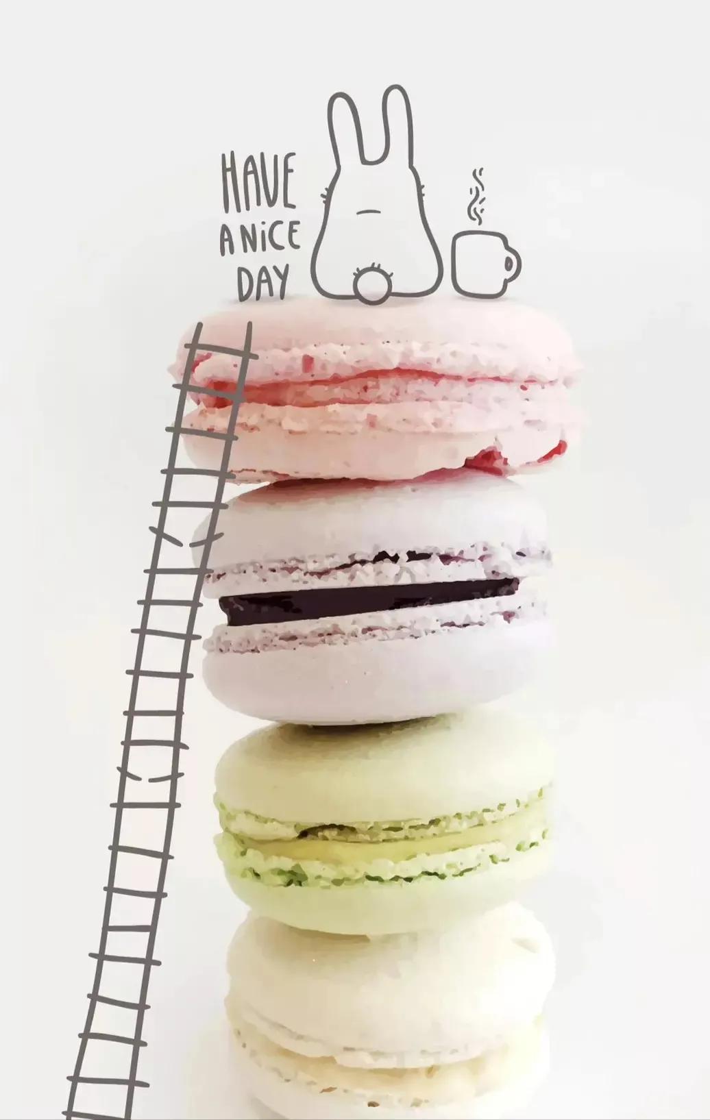 半生缘14段视频完整版,半生缘4