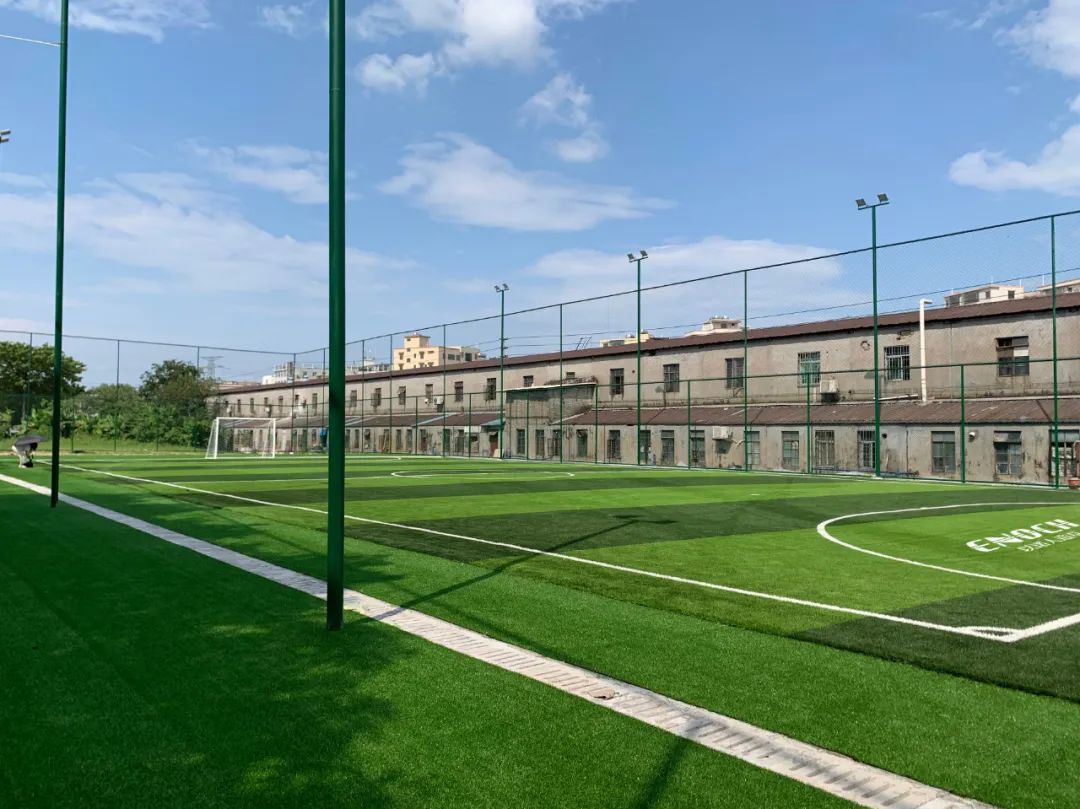 人造草皮怎么维护,人造草坪铺设保养