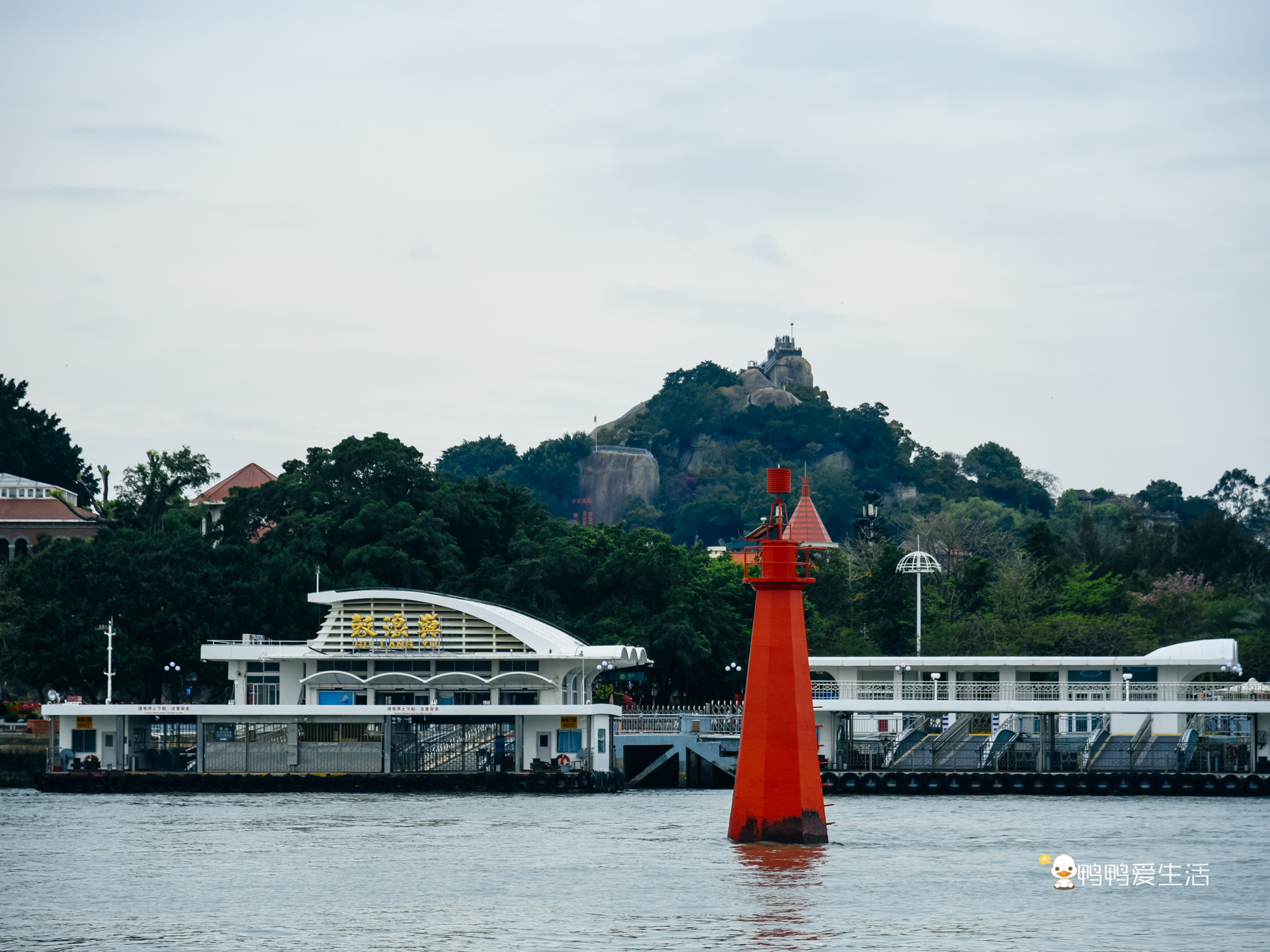 厦门鼓浪屿海底世界的抹香鲸,厦门鼓浪屿亲子旅游攻略