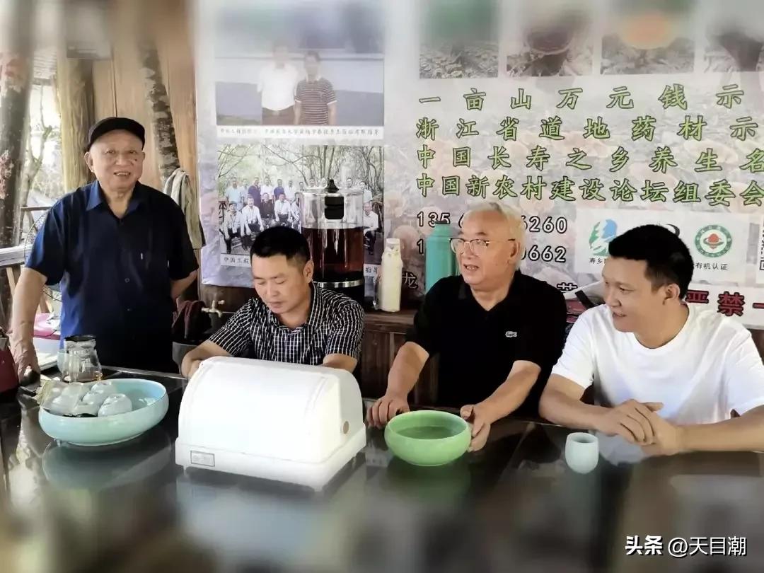 道是种植，却似野生一一项永年把灵芝栽种在百山祖国家公园野地里