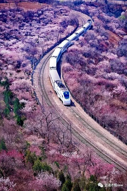 给2023的一封信怎么写,给2023年的自己写一封信500字