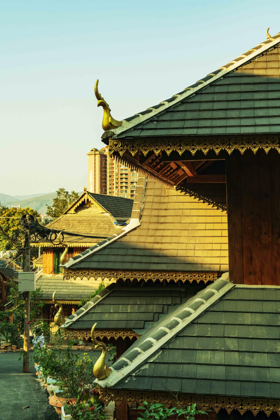 骂版纳是因为你没走出告庄玩版纳跟着小姐姐们走你才晓得味道