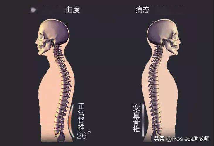 孙怡董子健官宣离婚原因,孙怡董子健离婚后同框