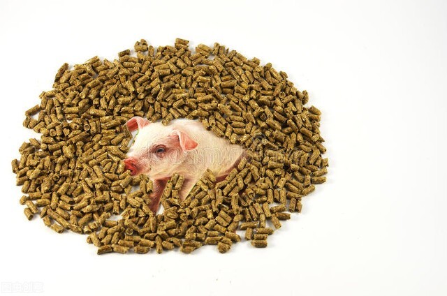 食品生产行业管理痛点的解决之道,关于食品行业的讲座提问