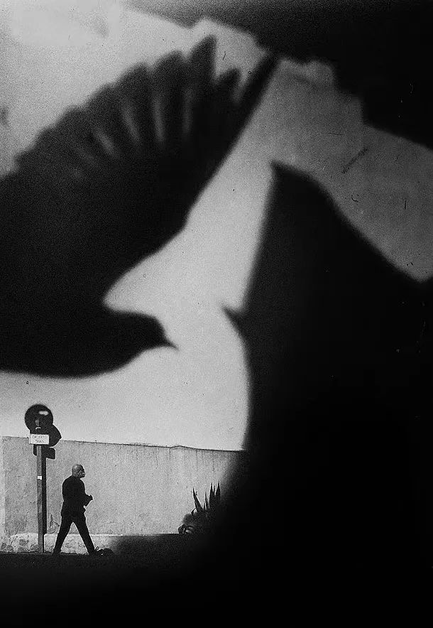 现代诗歌中的意象派诗歌的特点,现代诗歌意象是什么意思