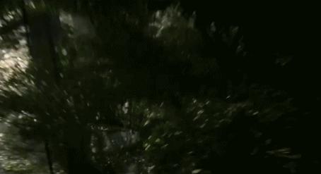 泰式恐怖的特点,泰式恐怖怪物