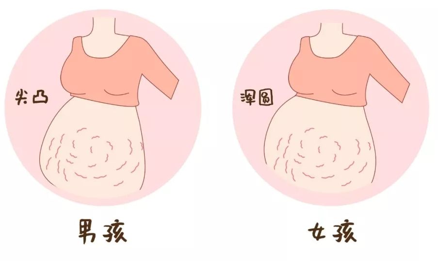 ella谈任家萱回归演唱会,ella谈任家萱恋情