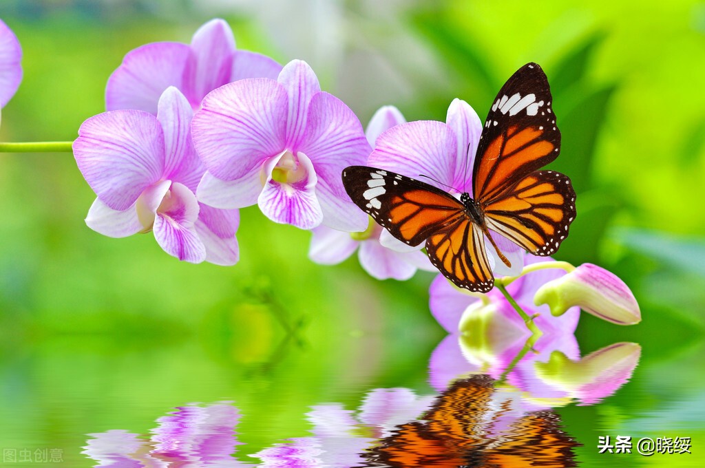 只要勇敢面对困境，面包会有的，牛奶会有的，一切都会好起来的