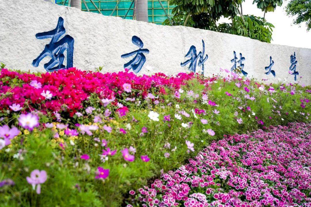 qs世界大学排名前1000的中国大学,qs世界百强大学排名最新