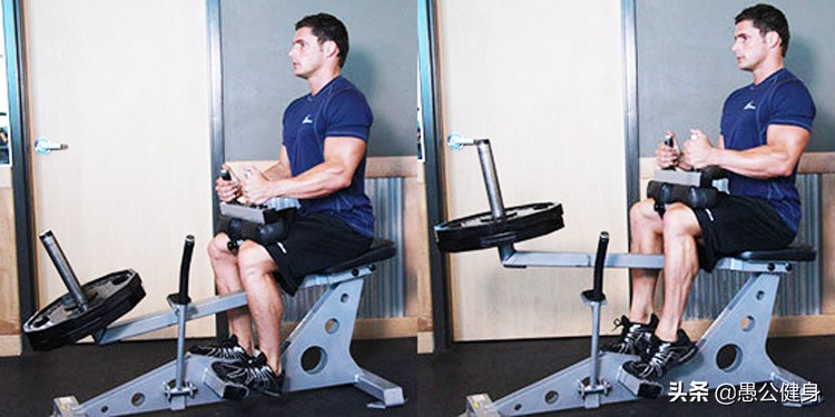 好的弹跳力是怎样来的？