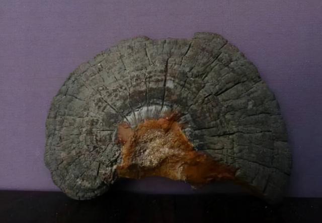 考古挖古墓挖出来自己的先人,考古学家挖古墓发现是自己家祖坟