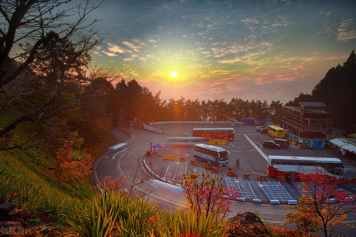 台湾最美十大油菜花景点,台湾桃园旅游必去十大景点推荐