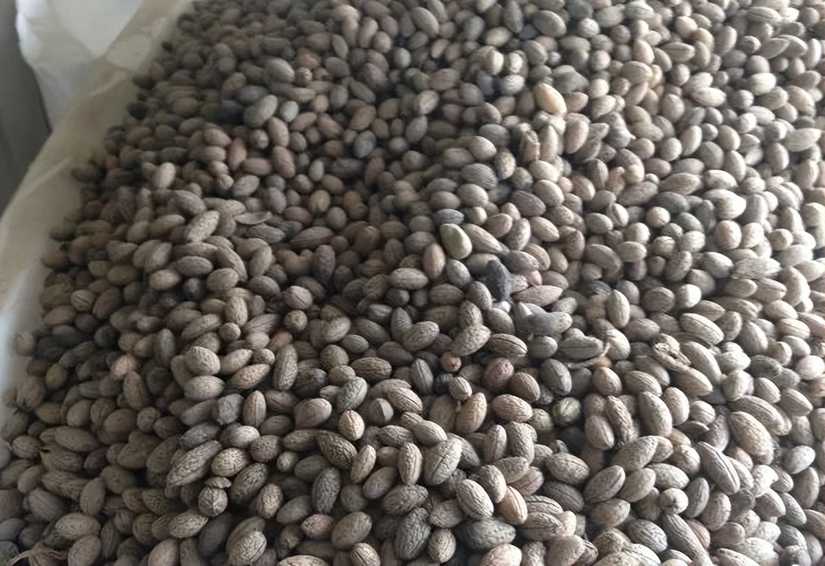 不要钱的文玩,不值钱但玩得好的文玩