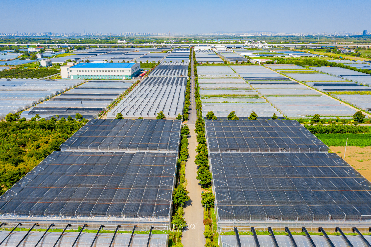 苏州各县到底有多强,苏州究竟有多强
