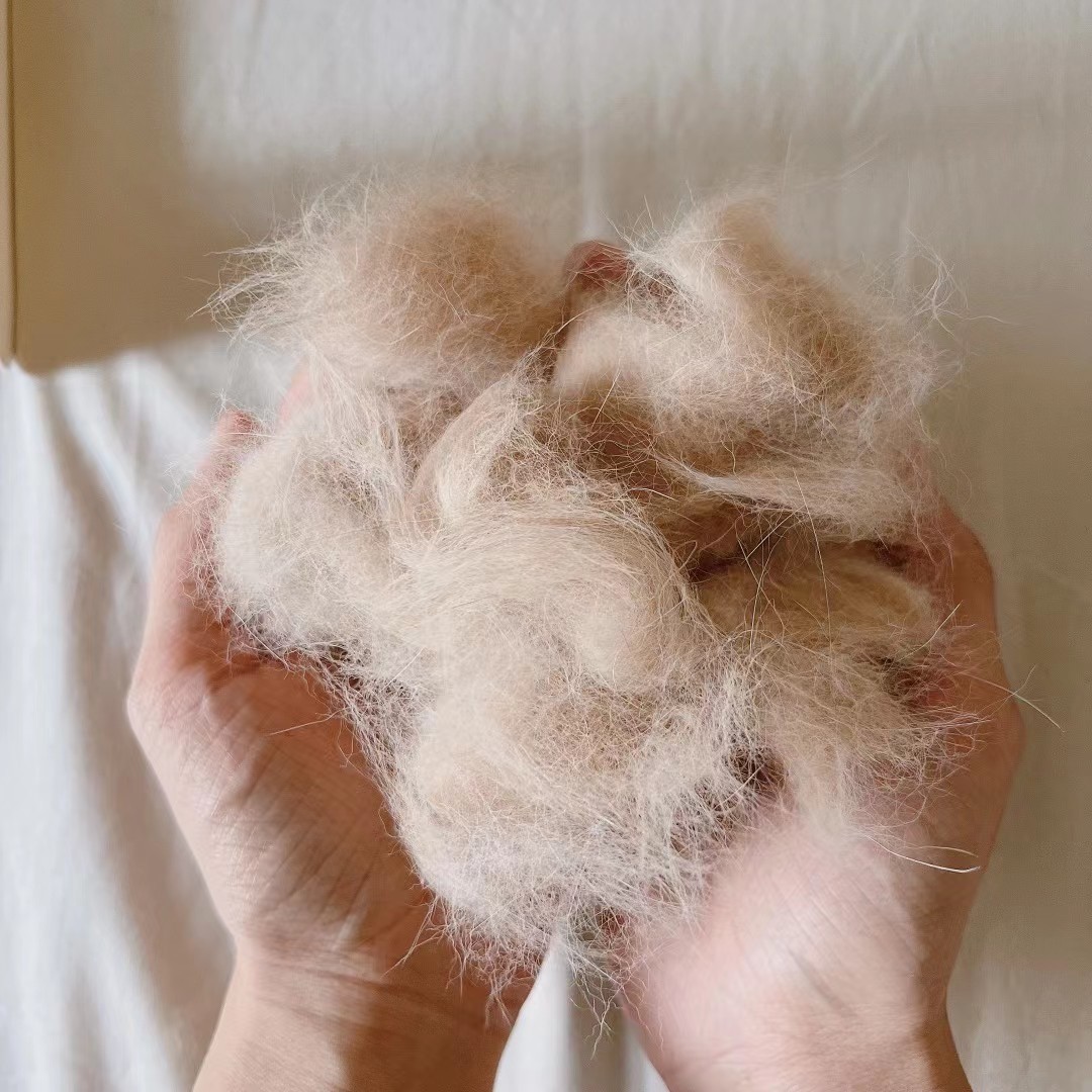 养猫得了过敏想继续养怎么办,养猫过敏怎么处理