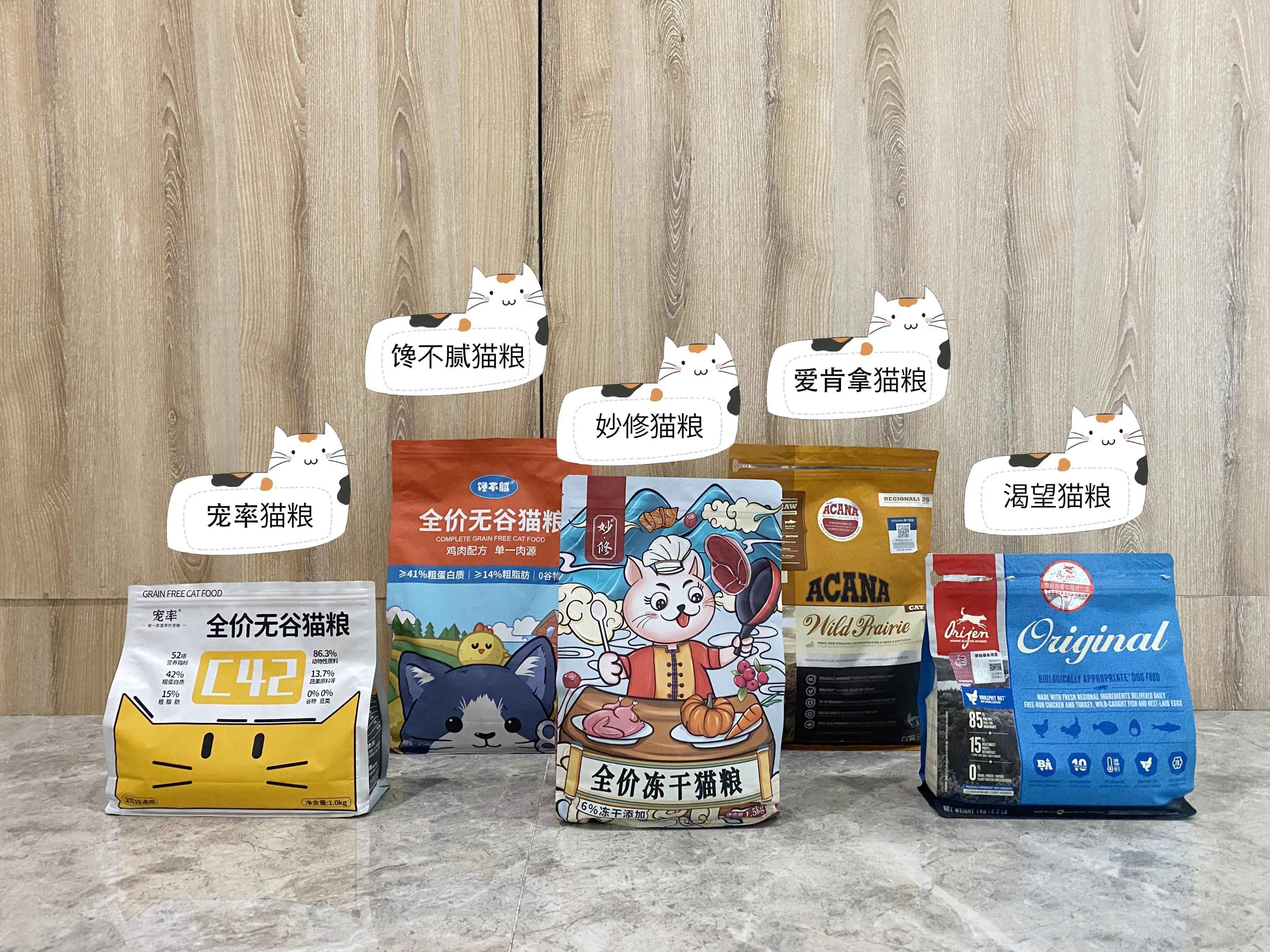 猫界缅甸猫,猫界顶流缅因猫到底有啥魅力