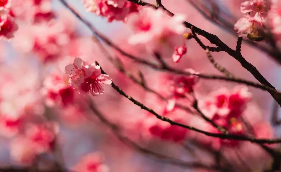 英语谚语100个常用励志,实用的英语谚语十句