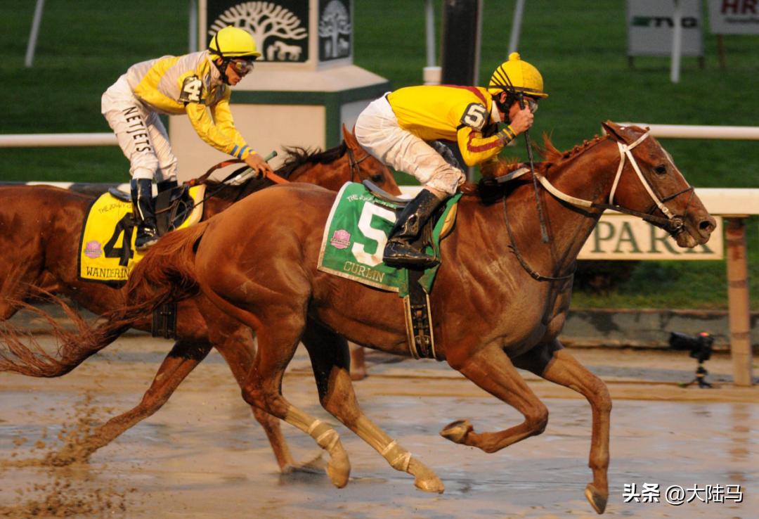 21世纪最伟大比赛,20世纪美国100匹顶级赛马排名