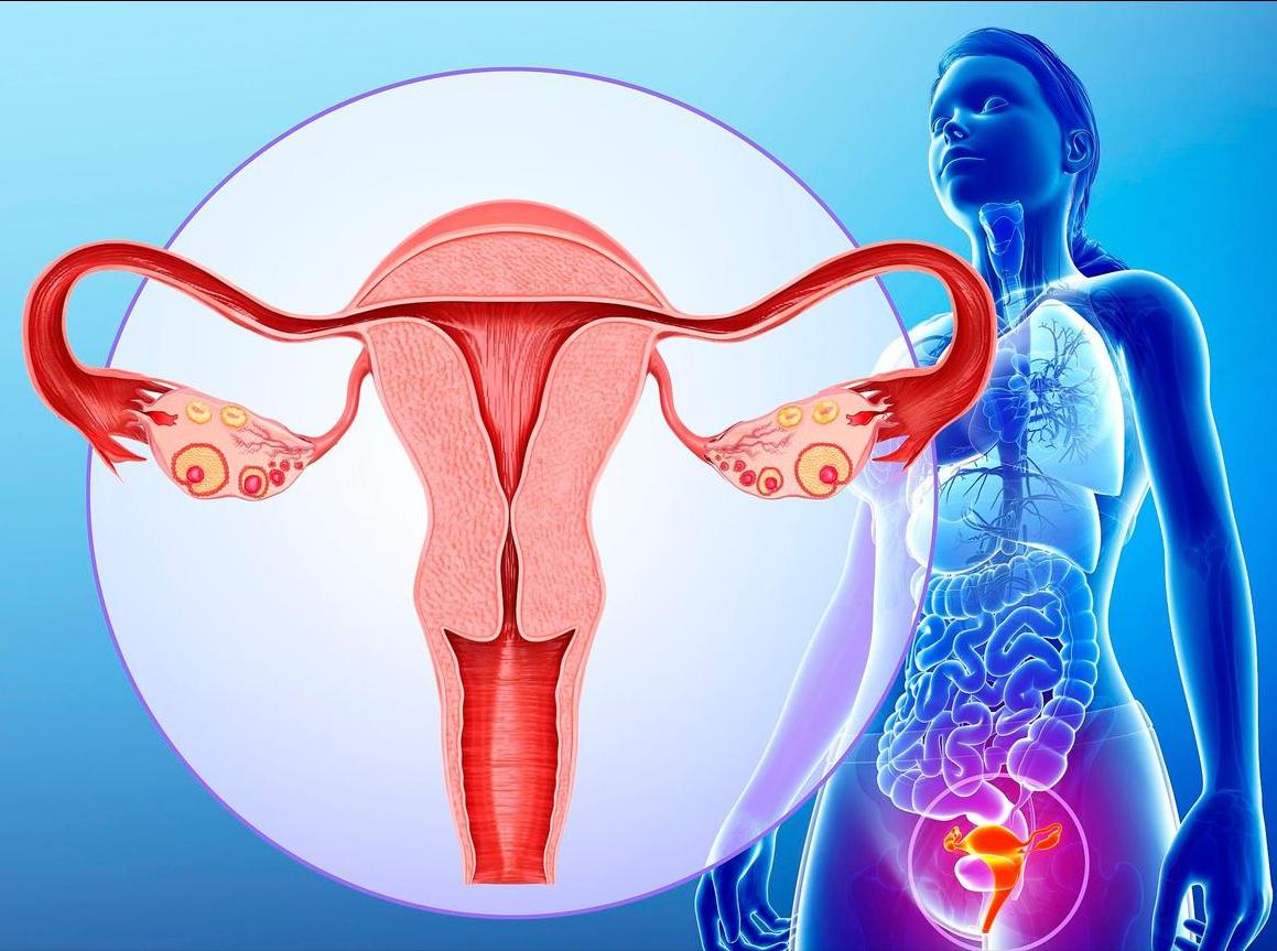 她,60岁,子宫“掉”出来了!日常如何预防和应对子宫脱垂