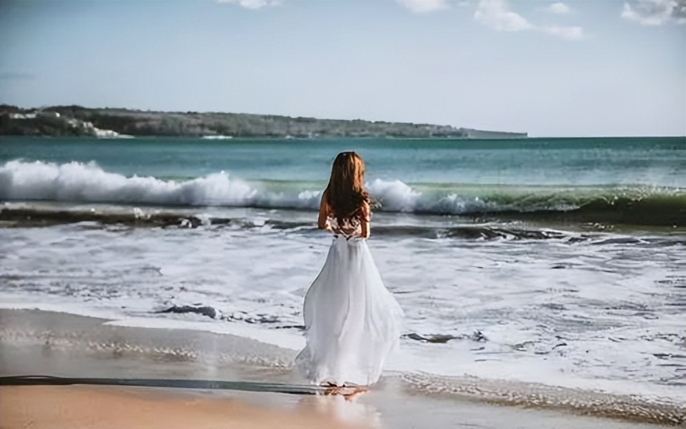 金蝉定律创业成功的核心秘密豆瓣,金蝉定律励志