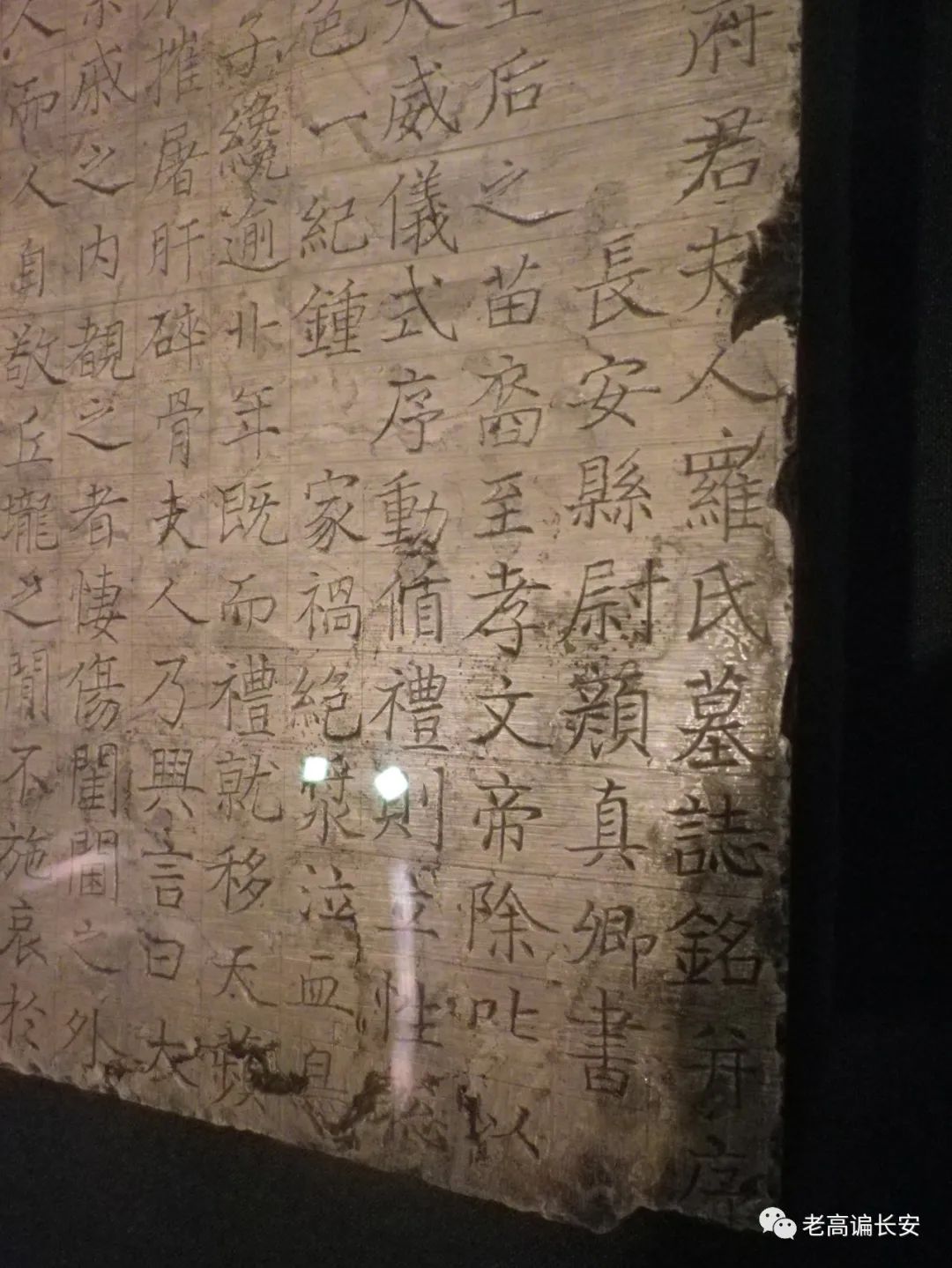 假期参观陕西考古博物馆,陕西考古博物馆开馆直播