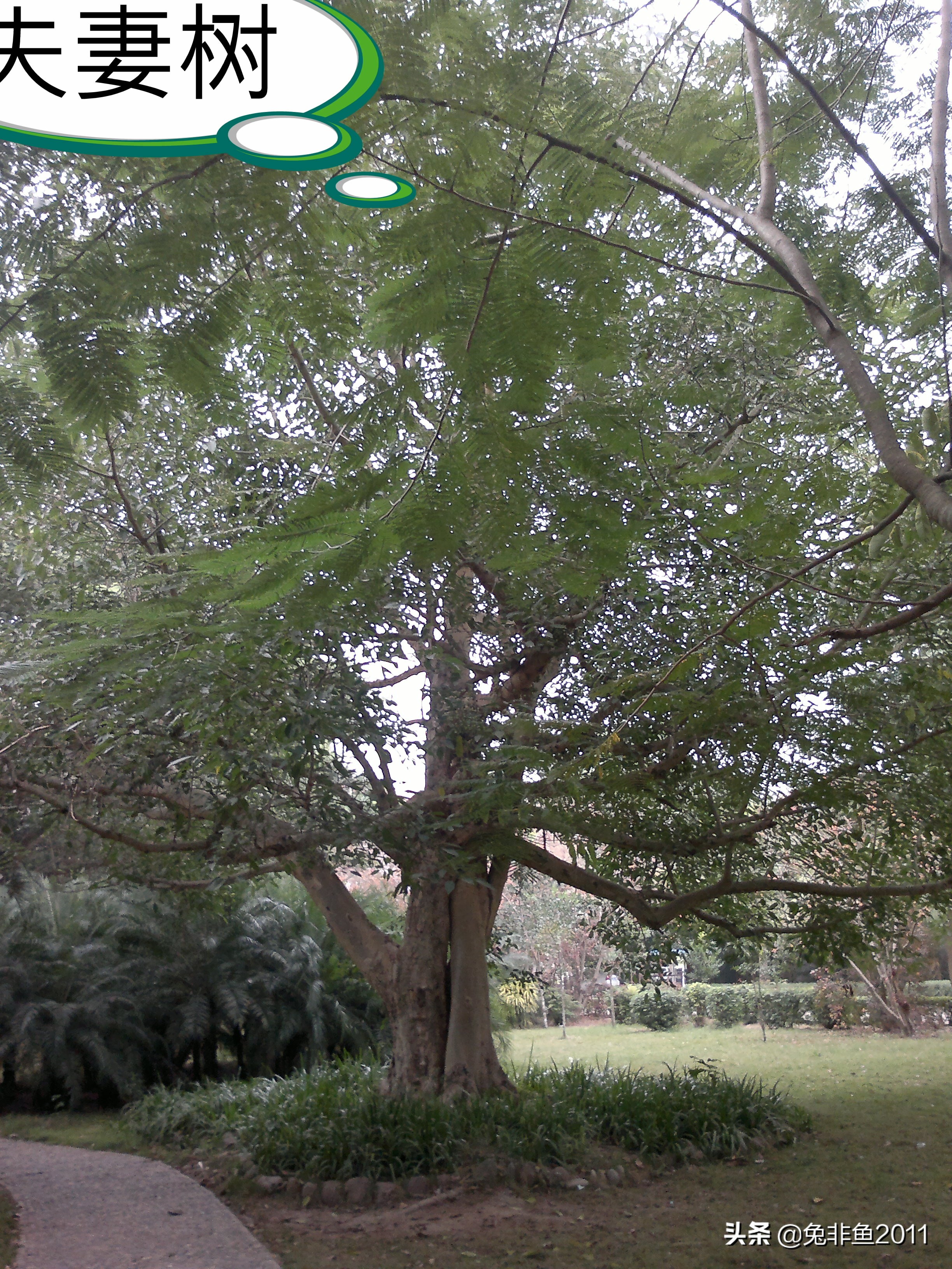 云南腾冲滇峰之旅,云南瑞丽中缅边境一日游