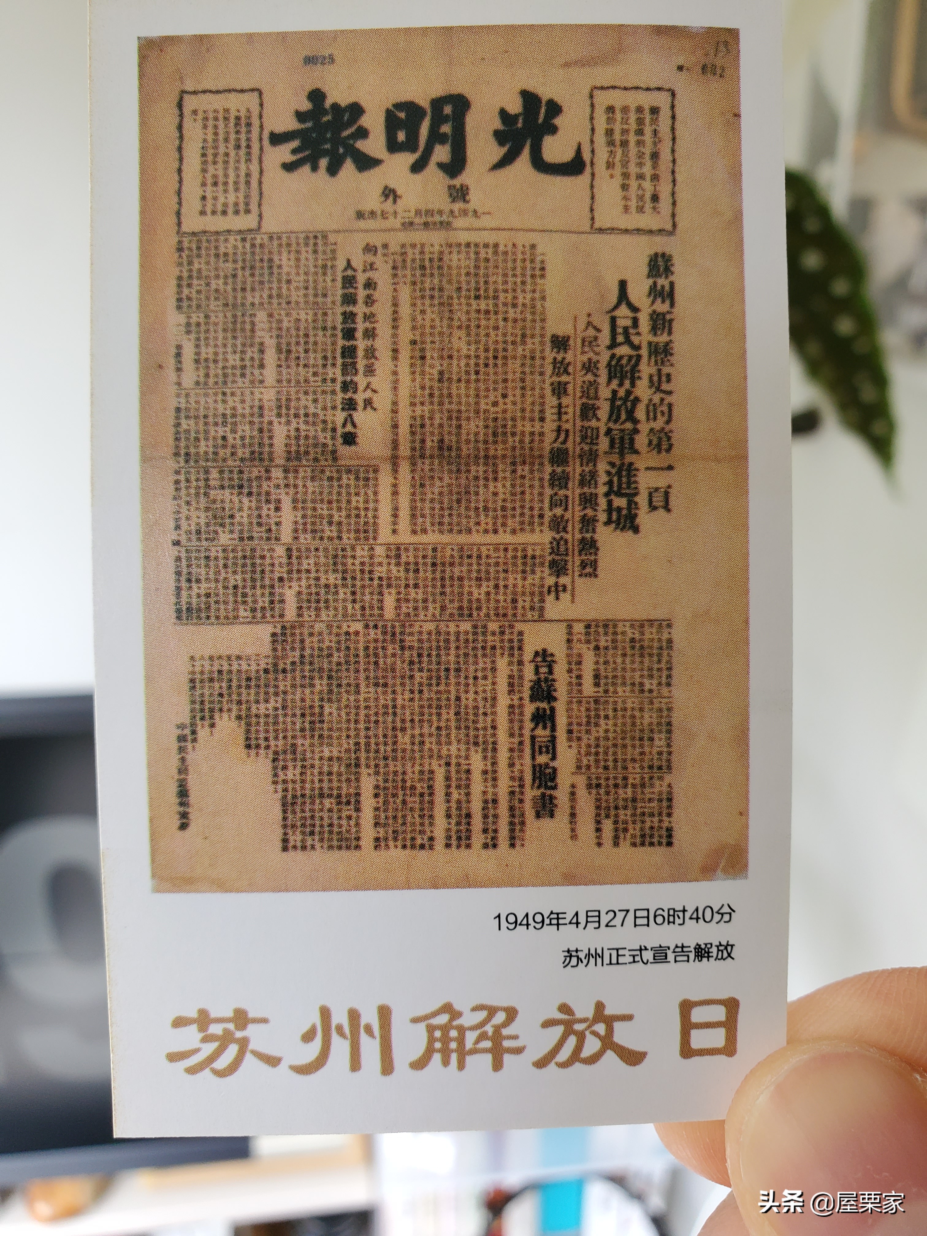 核酸报销凭证是咋样的,苏州核酸检测凭证卡片