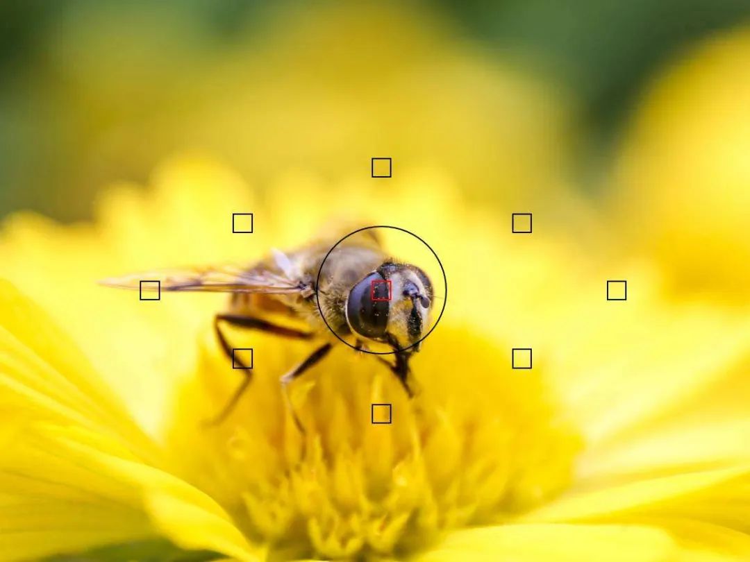 国产镜头到底值不值得入手,国产镜头可以用吗