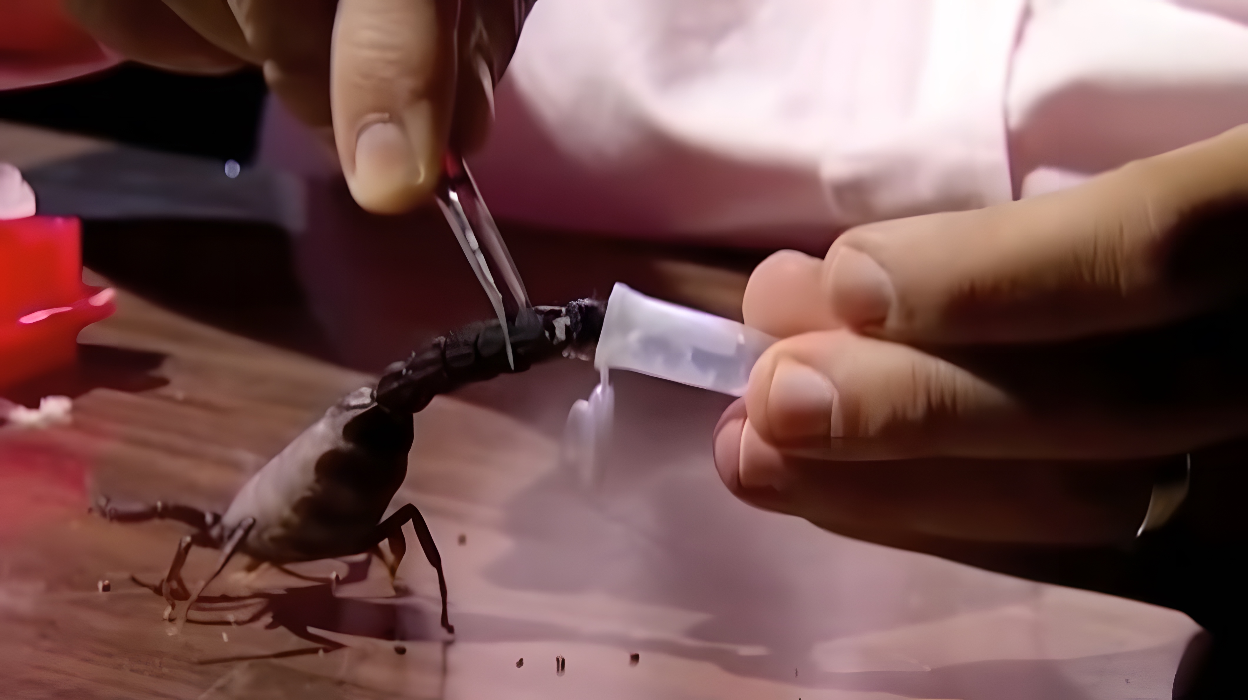 地球上最贵的物质排名,地球上最贵的矿泉水是哪一种