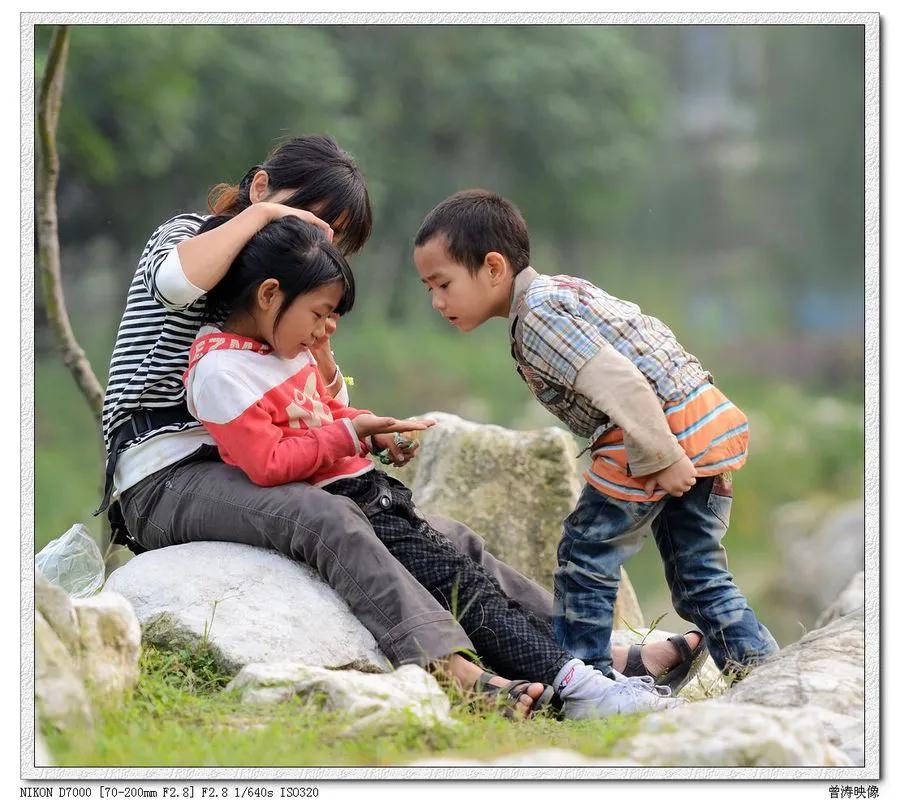 逮虱子和跳蚤,逮虱子图片大全