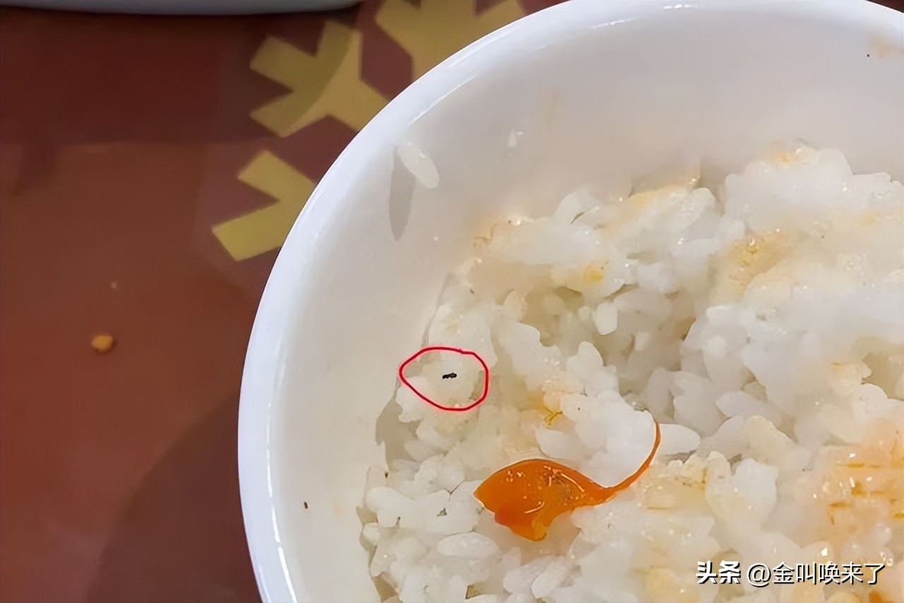 形象碎了一地!“啤酒大王”成都公司的食堂火了