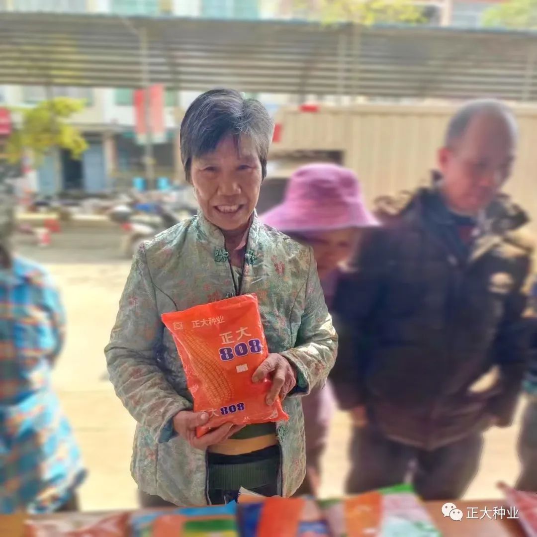 正大808玉米种子怎么样,正大808玉米和迪卡008哪个高产