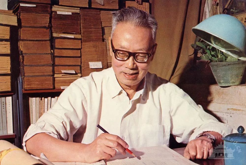 阐述新疆自古属于中国的史实,为什么说西域自古以来是中国领土