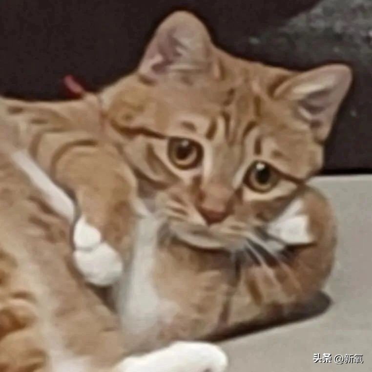 眼睛怎么才能变成星星眼,怎么让眼睛变星星眼