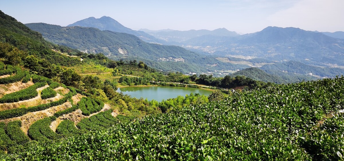 种植专业合作社有什么好处和坏处,农业合作社的危害