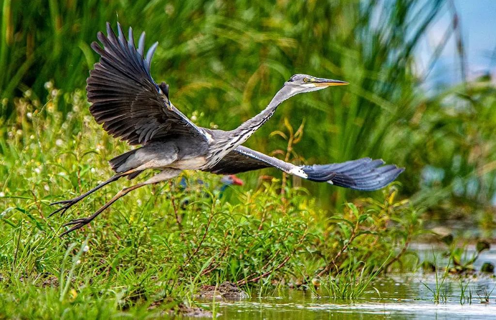昆明七彩云南怎么样,七彩云南避暑家园
