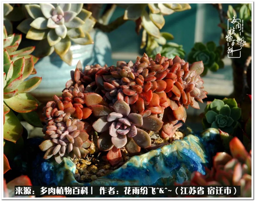 回味童年无忧无虑的快乐时光,童年最快乐的时光