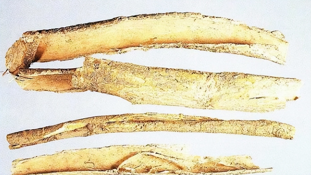 如何挑选桑白皮,带你识别中草药