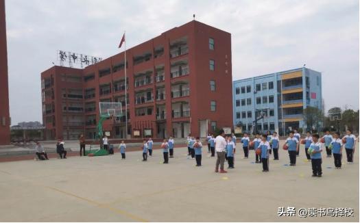 以评促学教研模式,以评促学和以评促优