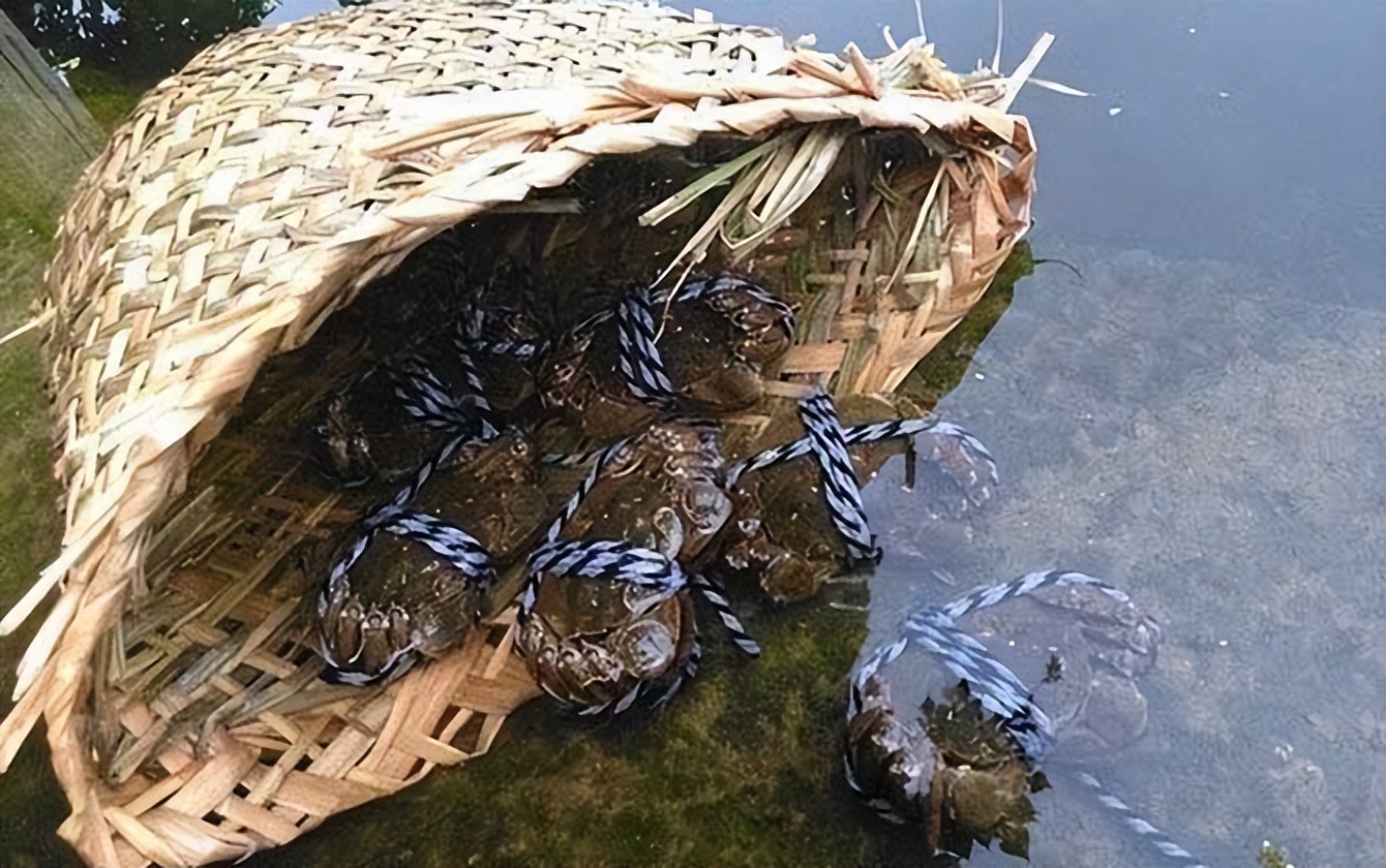 中国70%经济靠欧美？1月2月外贸6.18万亿，借鸡生蛋把美国当怨种