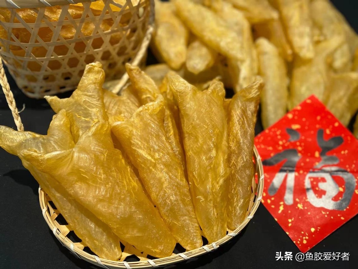 收藏版：全网最全的鱼胶品种，鱼胶品种这么多，你都认识吗？