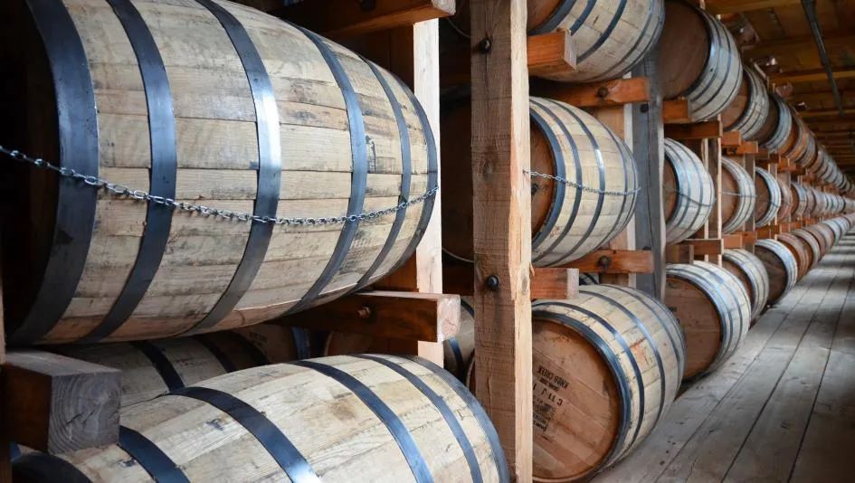 新手必看威士忌酒,威士忌猪头桶什么意思