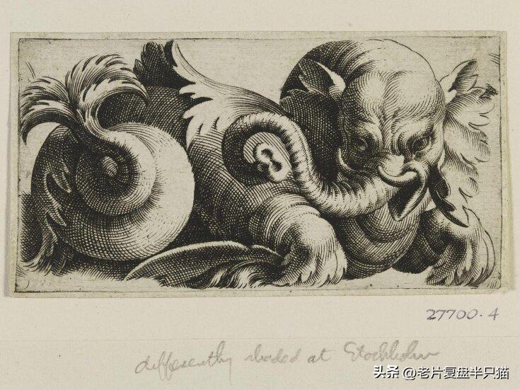 哥斯拉20个泰坦解析,哥斯拉2泰坦巨兽彩蛋