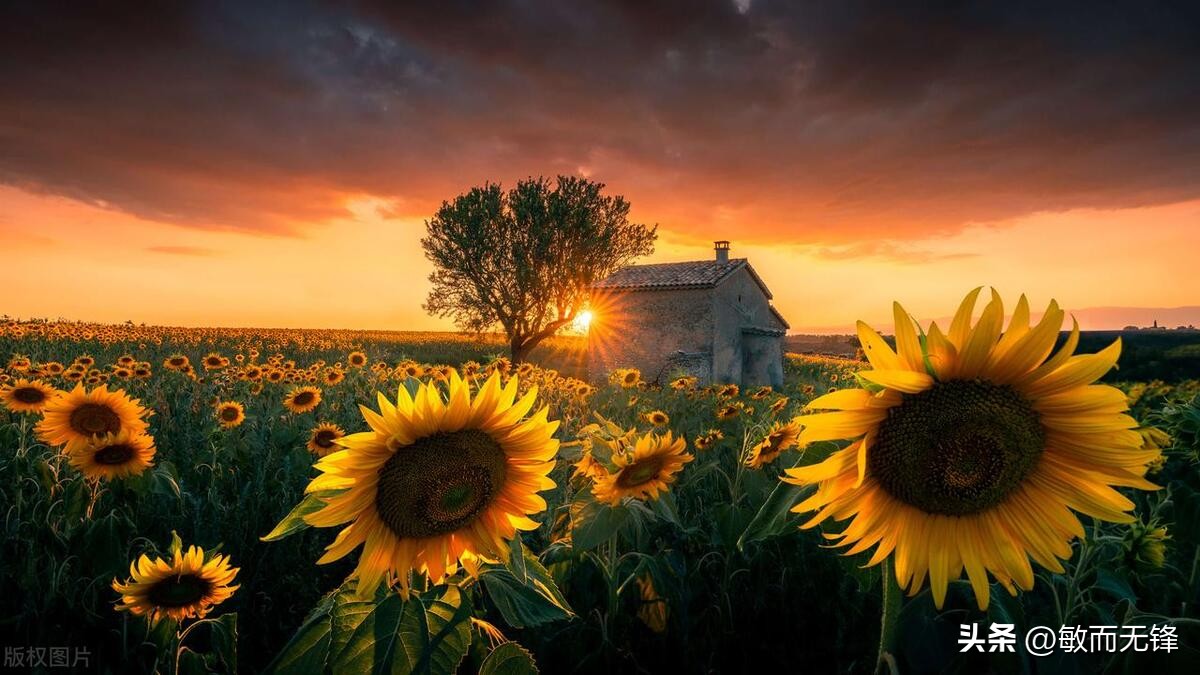 想赚钱就一定要跟着能赚钱的人,赚钱都要懂得生意的规则