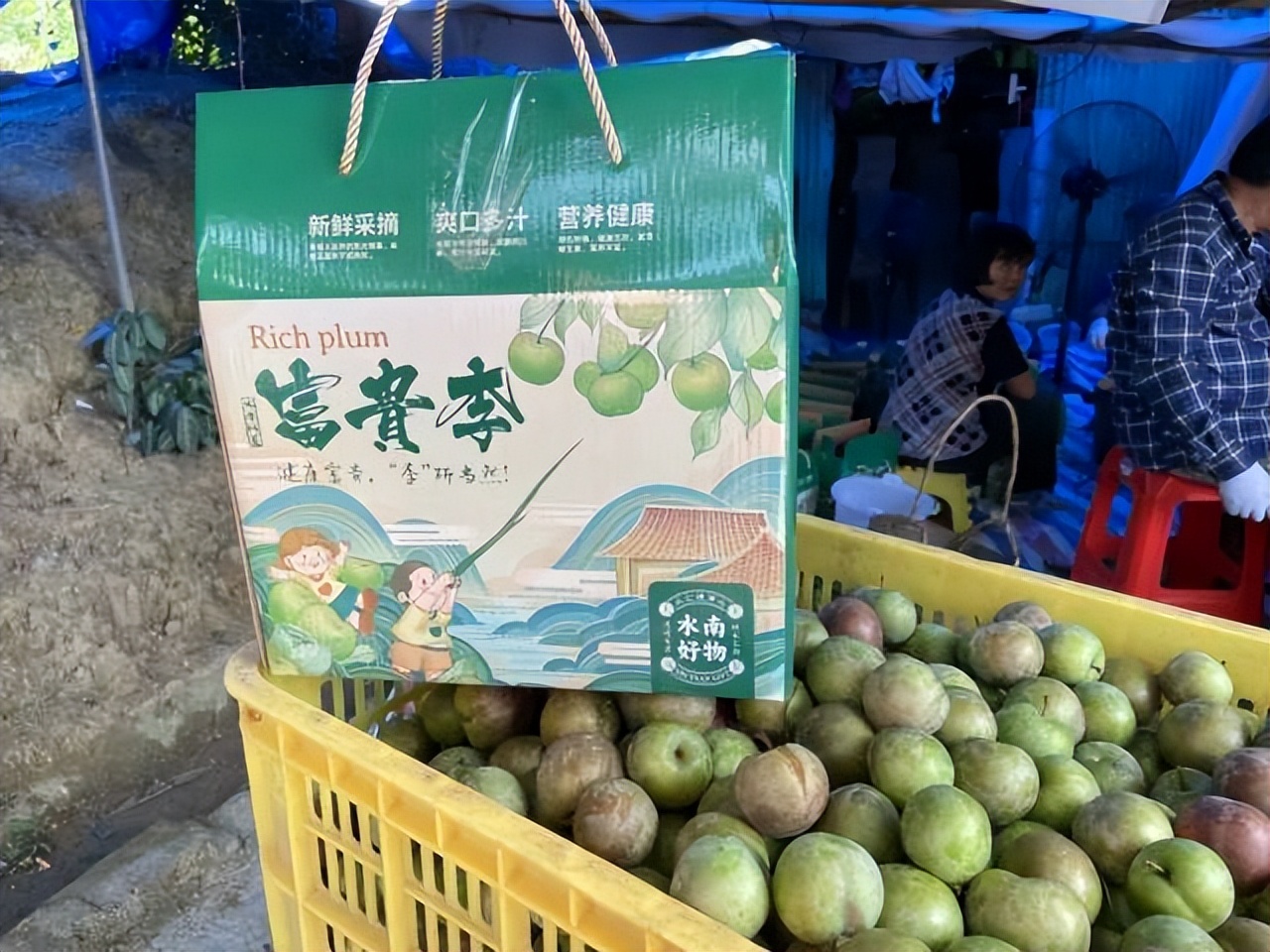 肇庆土特产农产品,肇庆最好的农业产业