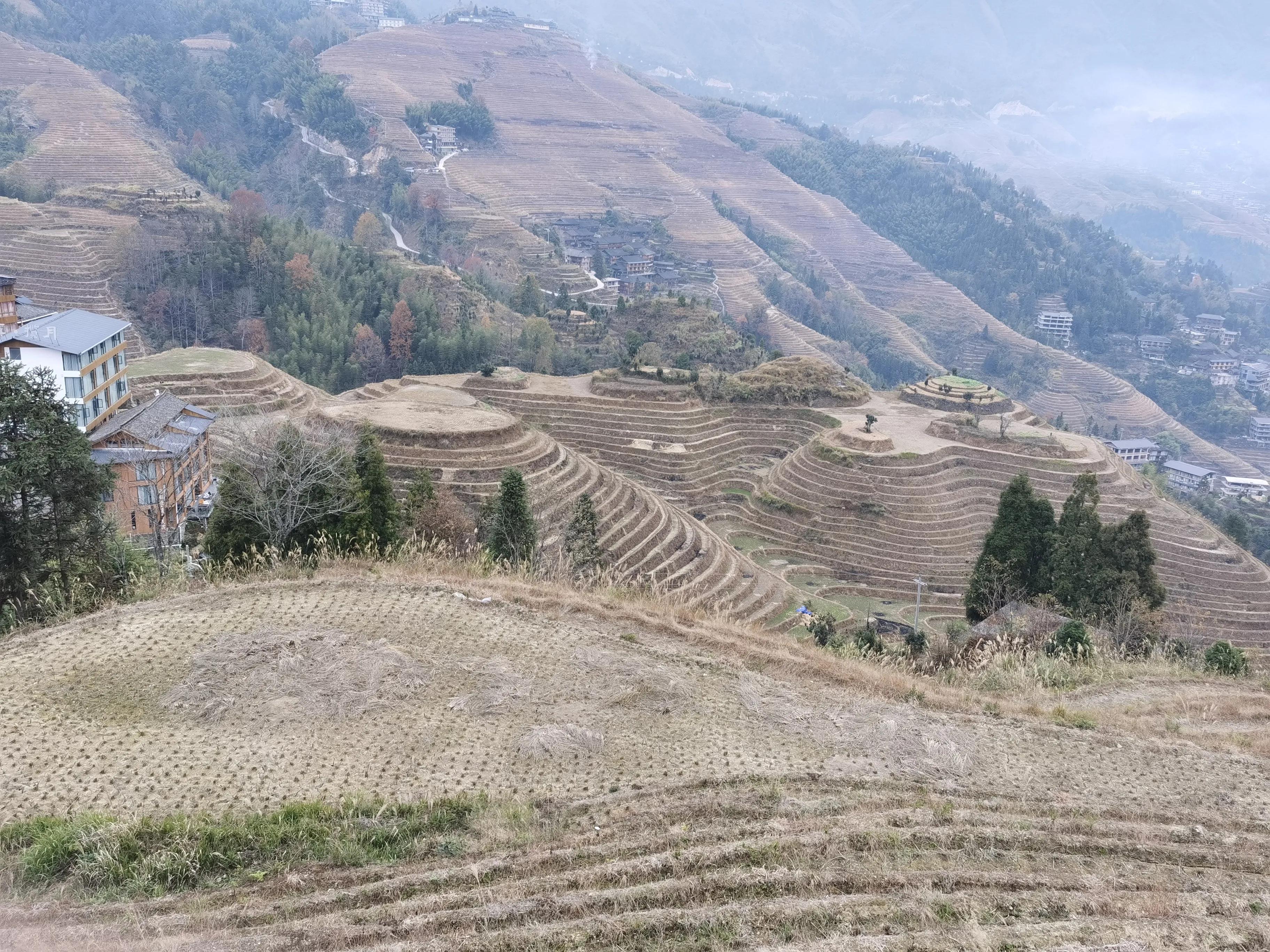 疫情中的成长与收获,疫情期间自己的收获和感受