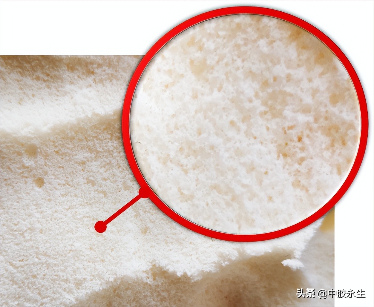 天然乳胶枕选什么样的好,天然乳胶枕质量怎样